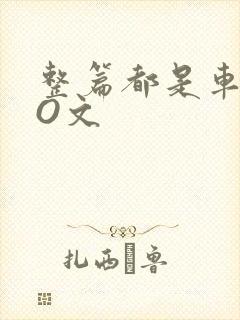 整篇都是车的PO文