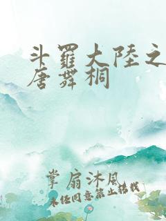 斗罗大陆之肉奴唐舞桐