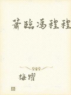 萧临冯程程小说