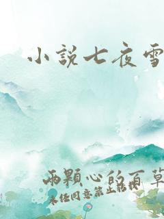小说七夜雪下载