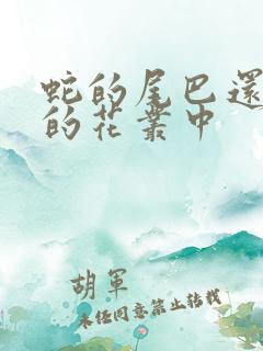 蛇的尾巴还在我的花丛中