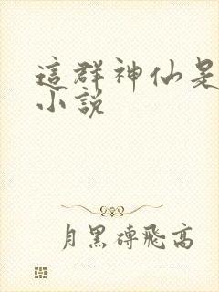 这群神仙是假的小说