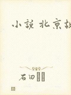 小说 北京故事