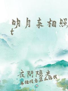 明月来相照txt