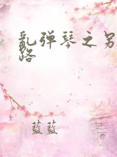 乱弹琴之另一条路