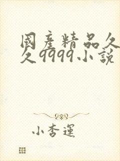 国产精品久久久久9999小说