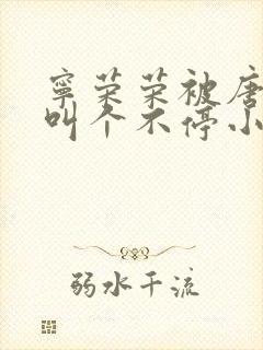 宁荣荣被唐三桶叫个不停小说