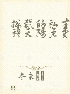 总裁的私有宝贝穆天阳免费