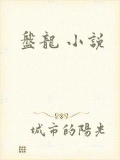 盘龙 小说