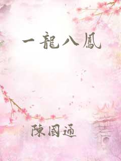 一龙八凤