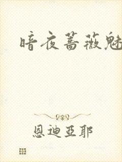 暗夜蔷薇魅之伤