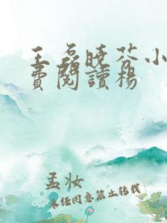 王磊晓芬小说免费阅读杨