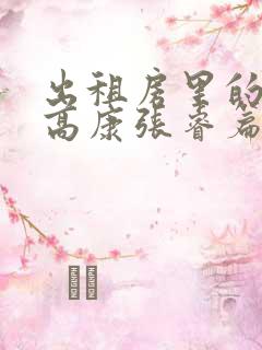 出租房里的交互高康张睿篇