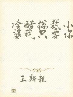 冷酷总裁小小老婆我只要你