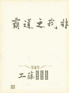 霸道之我非英雄