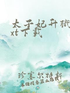 太子妃升职记txt下载