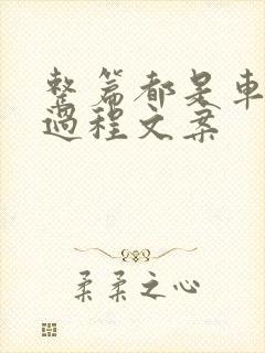 整篇都是车的肉过程文案