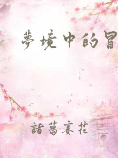 梦境中的冒险家