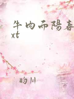 牛肉面阳春面txt