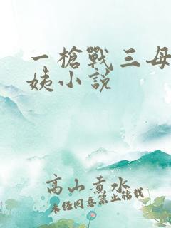 一枪战三母2雪姨小说