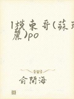 l模东哥(苏玛丽)po