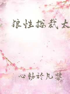 狼性总裁太凶猛