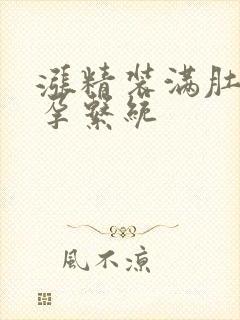 涨精装满肚子怀孕系统