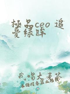 极品ceo 追爱绿眸