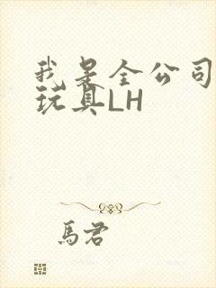 我是全公司发泄玩具LH