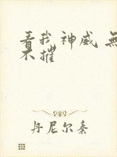 看我神威 无坚不摧