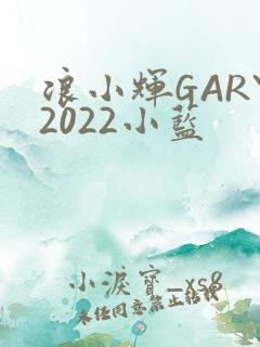 浪小辉GARY2022小蓝
