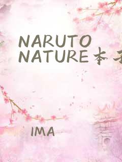NARUTO NATURE本子