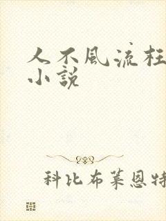 人不风流枉少年小说