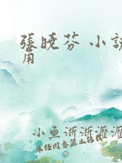 张晓芬 小说主角