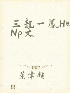 三龙一凤H啪肉Np文