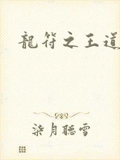 龙符之王道天下