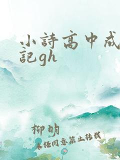 小诗高中成长日记gh