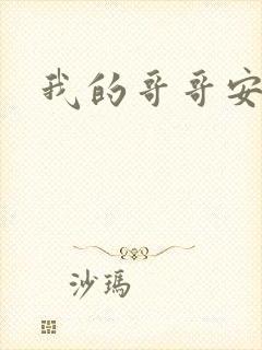 我的哥哥安小天