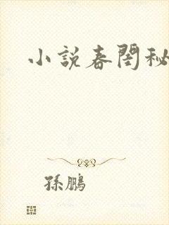 小说春闺秘史