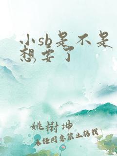 小sb是不是又想要了
