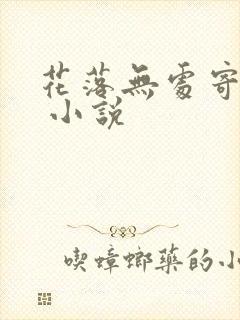 花落无处寄相思 小说