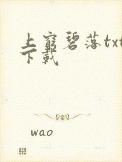 上穷碧落txt下载