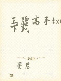 王牌高手txt下载