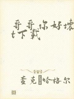 哥哥你好坏txt下载