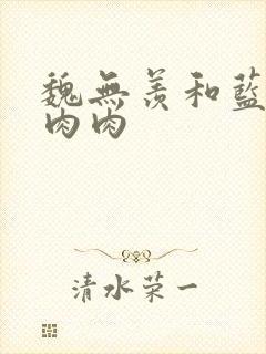 魏无羡和蓝忘机肉肉