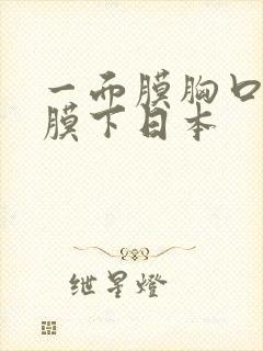 一面膜胸口一面膜下日本