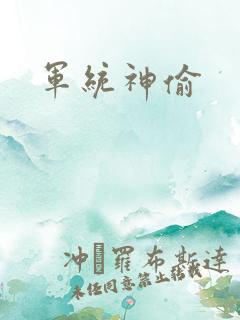 军统神偷