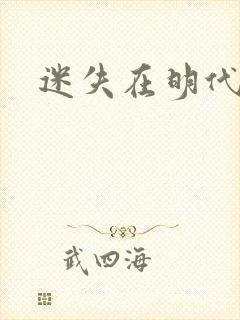 迷失在明代末年