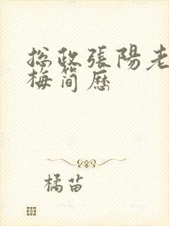 总政张阳老婆吕梅简历