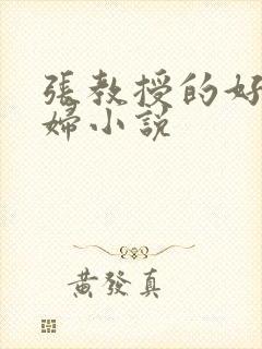 张教授的好儿媳妇小说